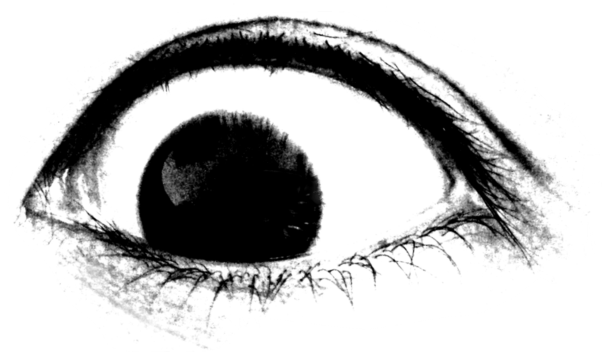 eye